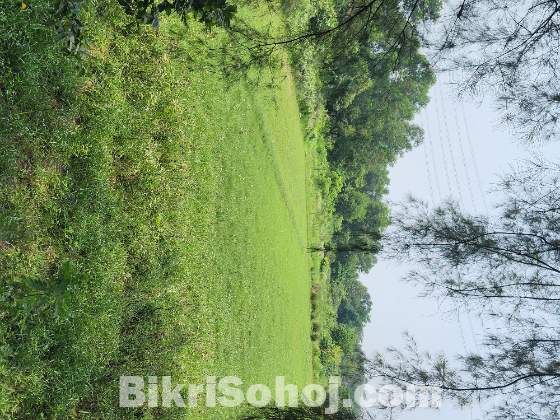 ৩৮ শতাংশ (ডেসিমেল) জায়গা বিক্রয় করা হবে